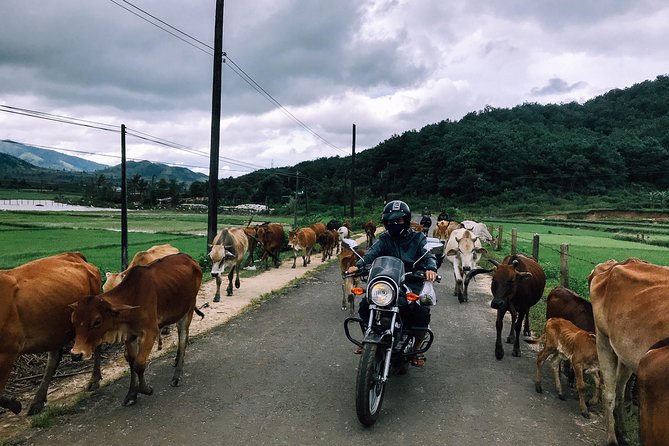 01 Day Easy Rider From Da Lat to Mui Ne by Motorbike - Motorbike Transportation