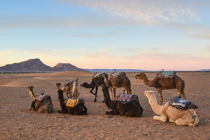 02 Days Marrakech - Ouarzazate - Zagora - Key Points