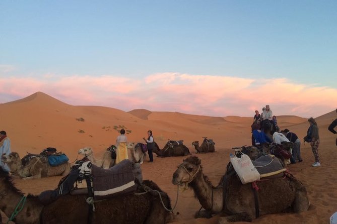 02 Days Marrakech - Ouarzazate - Zagora - Camel Trekking Adventure