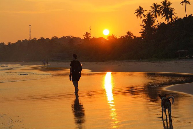 03 Days Beach Holidays in Sri Lanka With Kingfisher - Included Services and Amenities