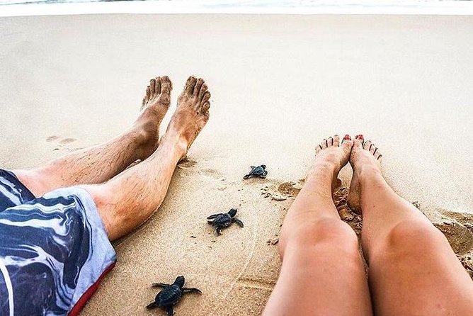 03 Days Beach Holidays in Sri Lanka With Kingfisher - Highlights of the Itinerary