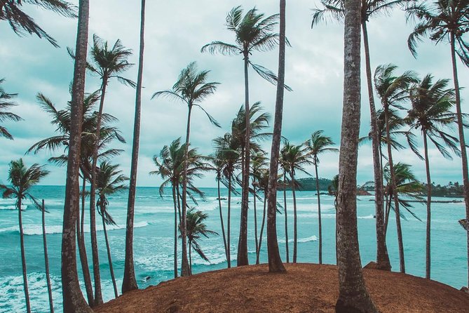 03 Days Beach Holidays in Sri Lanka With Kingfisher - Frequently Asked Questions (FAQs)