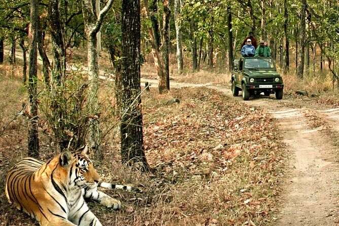 03 Days Private Wildlife Ranthambore Tiger Tour from Jaipur - Day 3: Return to Jaipur