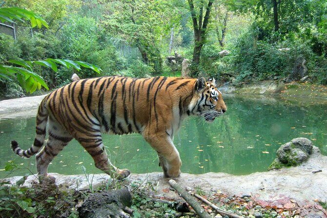 03 Days Private Wildlife Ranthambore Tiger Tour from Jaipur - Practical Details That Matter