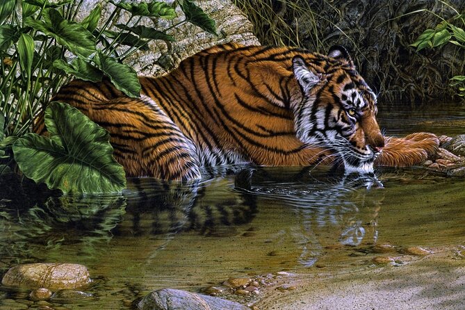 03 Days Private Wildlife Ranthambore Tiger Tour From Jaipur - Additional Information