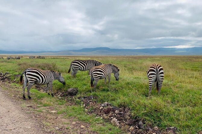 03 Days Serengeti and Ngorongoro Crater Group (Camping) - Scenic Landscapes and Wildlife Viewing