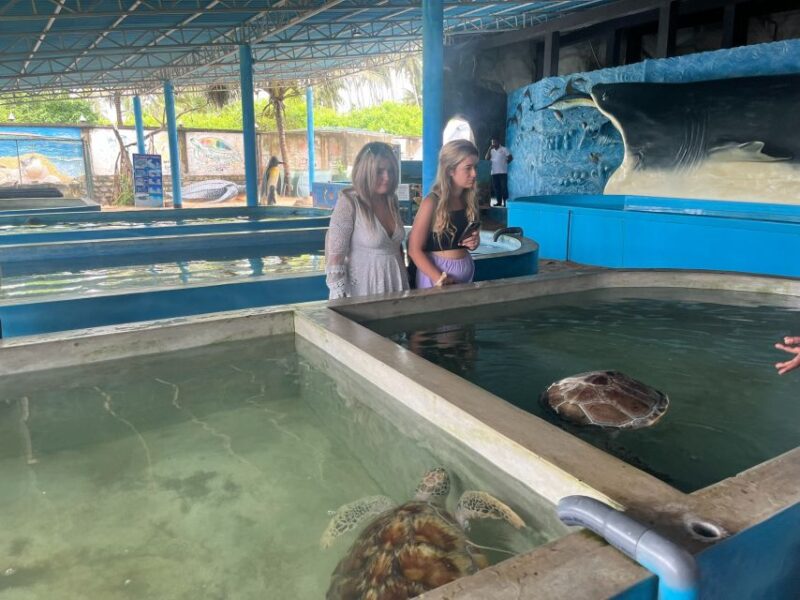 04 Days Explore Sri Lankas Treasure - Itinerary Highlights