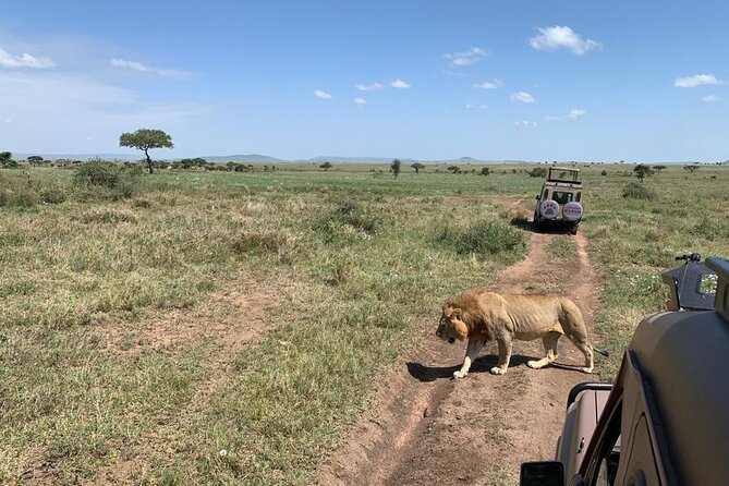 04 Days Tarangire, Serengeti and Ngorongoro Crater Group (Camping - Itinerary Breakdown