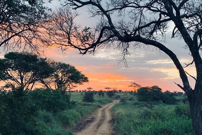 04 Days Tarangire, Serengeti and Ngorongoro Crater Group (Camping - Exploring Nabi Hills and Seron Era