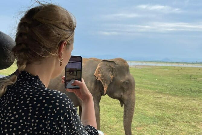 04 Hours Safari Jeep Tours - Key Points