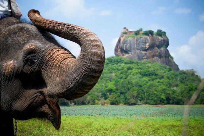 05 Days Glimpse Of Sri Lanka - Operator Information