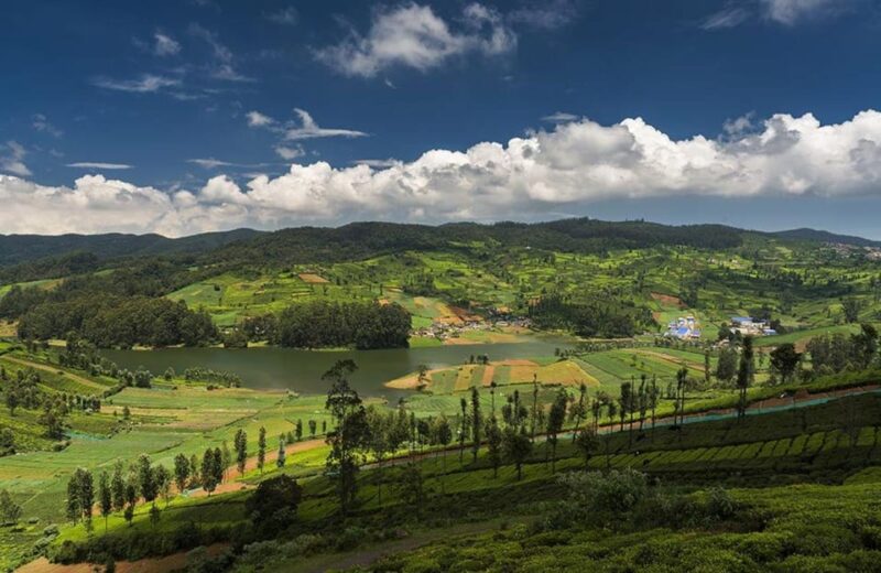 06 Days, Bangalore Mysore Ooty, Luxurious & Exclusive Tour - Key Points