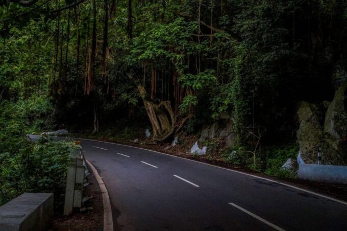 06 Days, Bangalore Mysore Ooty, Luxurious & Exclusive Tour - Transportation and Guides