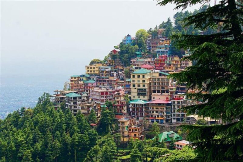 06 Days, Delhi, Agra Chandigarh & Dharamshala Exclusive Tour - Inclusions