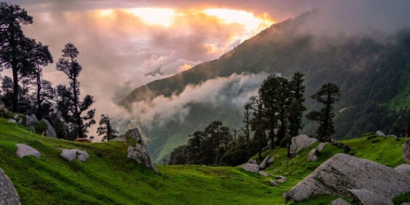 06 Days, Delhi, Agra Chandigarh & Dharamshala Exclusive Tour - Frequently Asked Questions