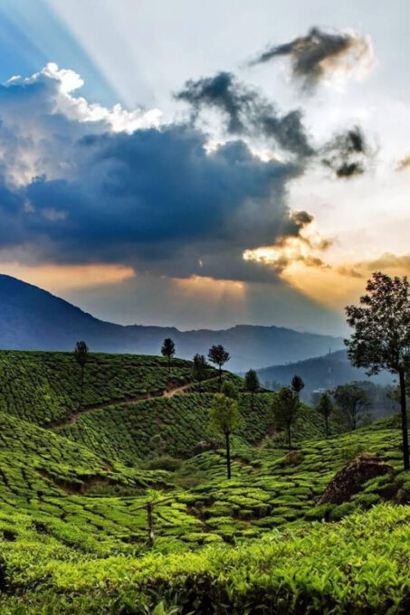 07 Day Backwater of Kerala Luxury & Exclusive Honeymoon Tour - Cancellation and Booking