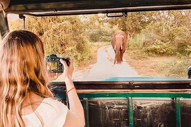08 - Day Classic Tour With English Speaking Drive and Private Luxury Vehicles - Overview of the Tour