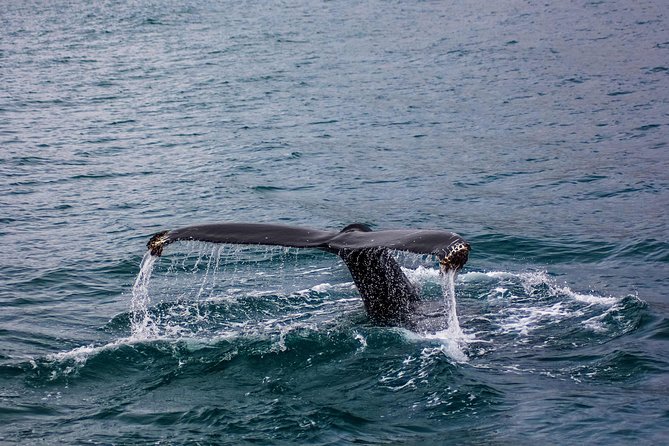 08 Days Sri Lanka Tour - Wonder of Asia - Inclusions and Exclusions