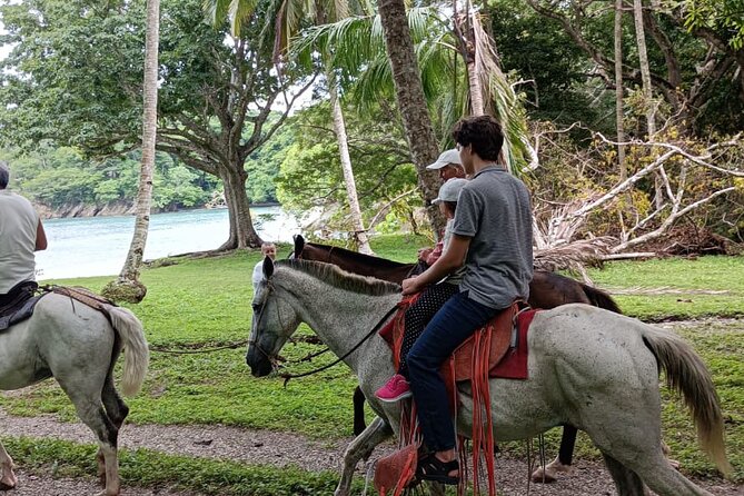 1 1/2 Hours Tour Horseback Riding and Visiting the Beach - Horseback Riding Experience