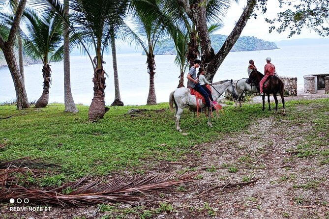 1 1/2 Hours Tour Horseback Riding and Visiting the Beach - Included Equipment and Safety