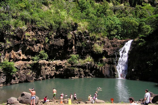 1/2 Circle Island & North Shore Fun With the Surf Bus - Customizable Tour Options