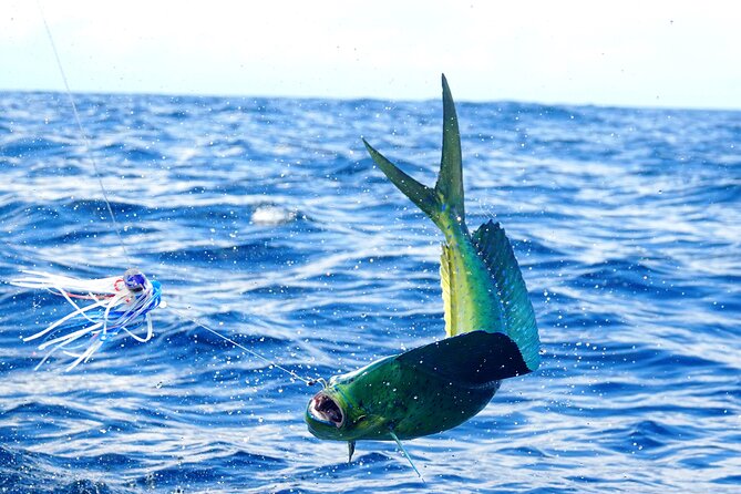 1/2 Day 5 Hour Offshore Fishing Charter - Vessel Specifications
