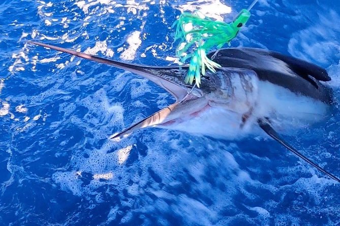 1/2 Day Afternoon Deep Sea Fishing Charter on Angler Management - Getting to the Meeting Point