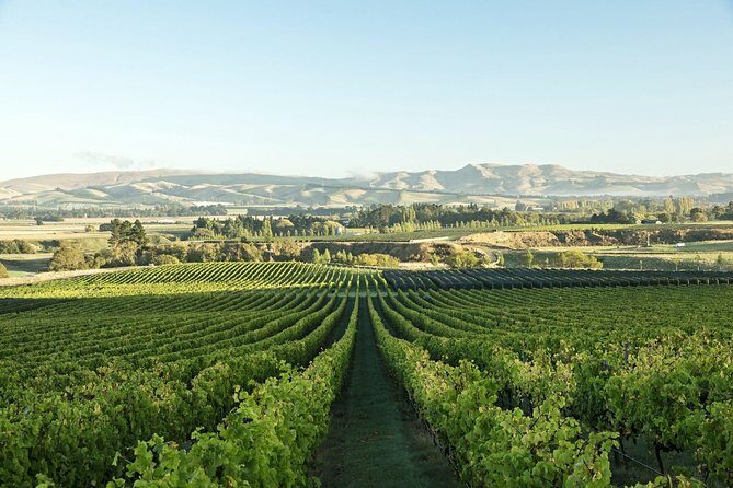 1/2-day Christchurch Scenic Highlights (Private Tour) - Evans Pass Lookout – Views and Port Insights