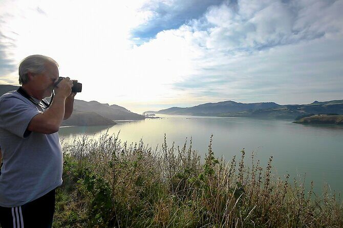 1/2-day Christchurch Scenic Highlights (Small Group Tour) - Key Points
