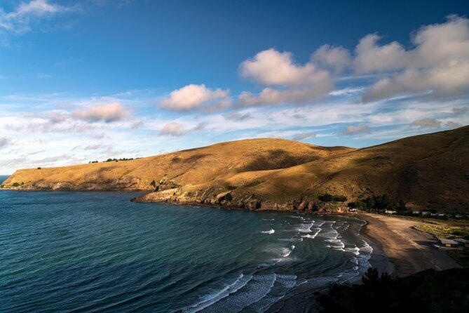 1/2-day Christchurch Scenic Highlights (Small Group Tour) - Who Should Consider This Tour?