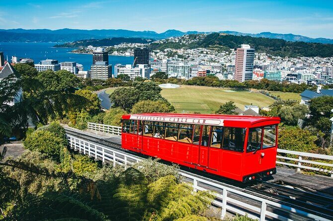 1/2 Day Guided Wellington Tour incl. Cable Car (Vans not buses) - Key Points