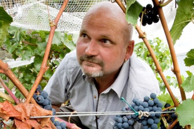 1/2 Day Martinborough Chefs Wine Tour With Lunch From Wellington - Tour Experience and Customer Feedback