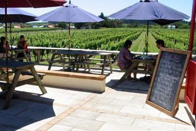 1/2 Day Martinborough Chefs Wine Tour With Lunch From Wellington - Winery Visits and Tastings