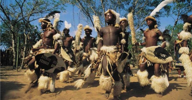 1/2 Day Phezulu Safari Park From Durban - Itinerary Highlights