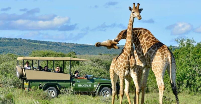 1/2 Day Phezulu Safari Park From Durban - Cultural Insights