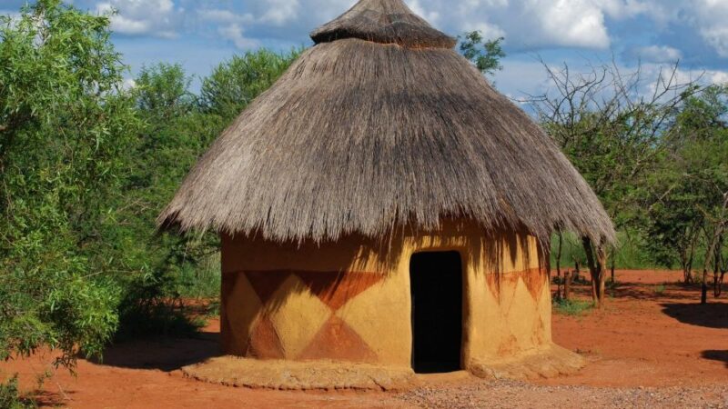 1/2 Day Phezulu Safari Tour From Durban - Tour Duration and Inclusions