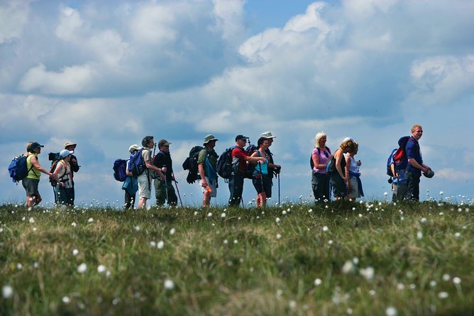 1/2 Day Pilgrims Walk on St Patricks Way and Lunch - Key Stops Along the Way