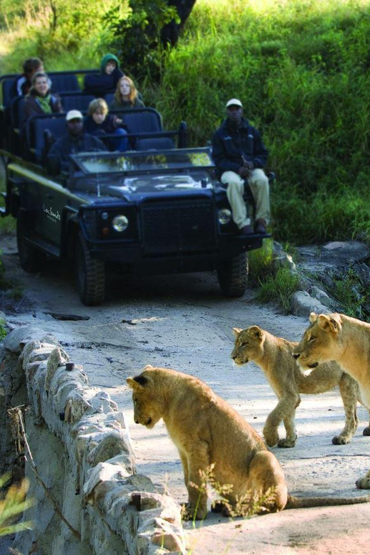 1/2 Day Private Tour Tala Game Reserve & Natal Lion Park - Tala Game Reserve