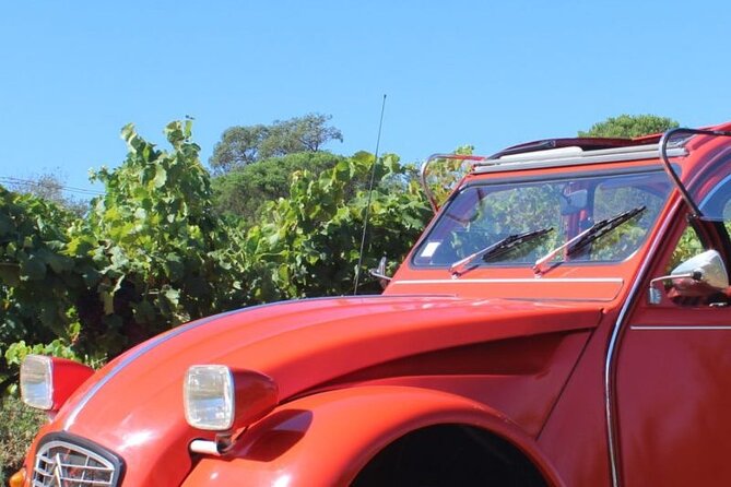 1/2 Day Private Vintage Tour, Vineyards of Saint-Tropez - Key Points