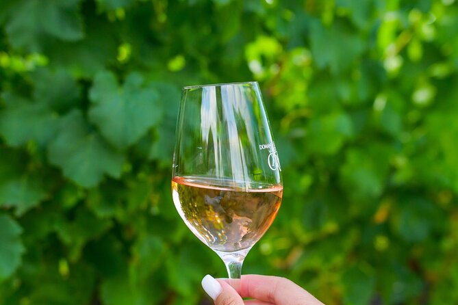 1/2 Day Private Vintage Tour, Vineyards of Saint-Tropez - Included Experiences
