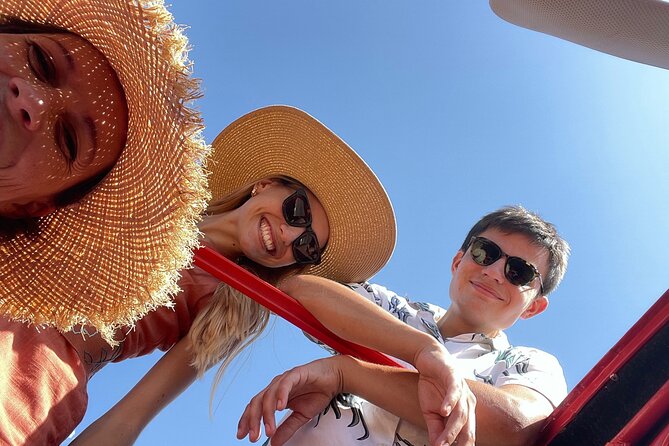 1/2 Day Private Vintage Tour, Vineyards of Saint-Tropez - Pickup Details