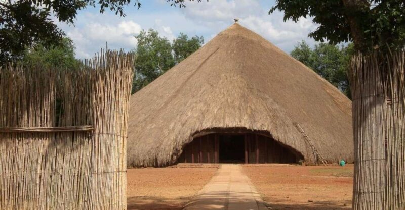1/2 Day Safari From Durban - Safari Activities Offered