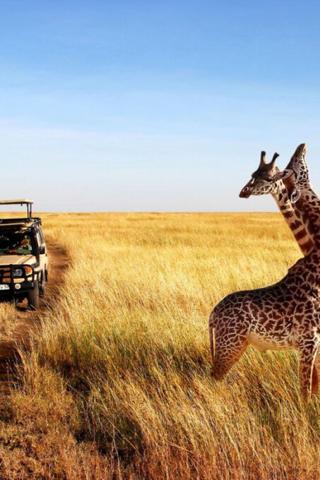 1/2 Day Safari From Durban - Zulu Cultural Immersion