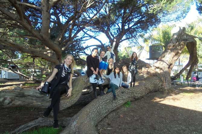 1/2 Day Swan Valley Wine Cheese & Chocolate Tour Inc Afternoon Cruise to Perth - Pre-Tour Preparation