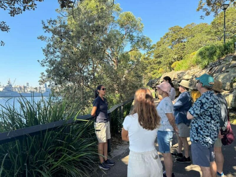 1/2 day Sydney Sightseeing and Bondi Beach Tour - Practical Aspects: Transport, Timing, and Cost