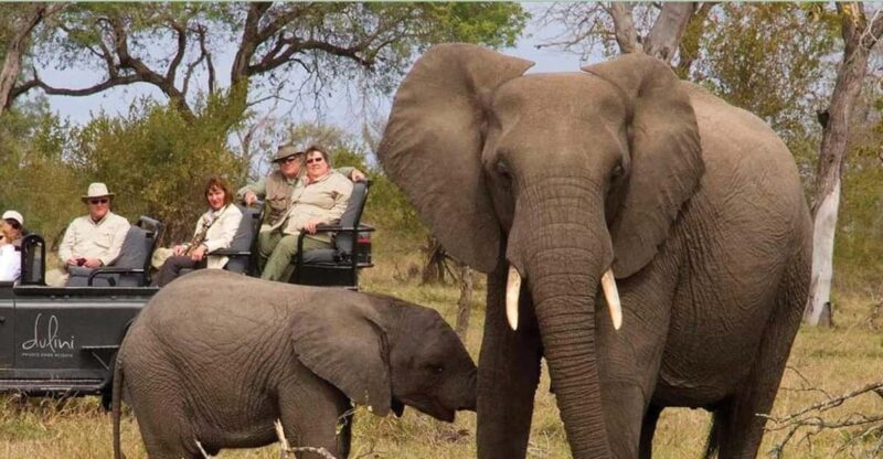 1/2 Day Tala Game Reserve & Natal Lion Park From Durban - Itinerary