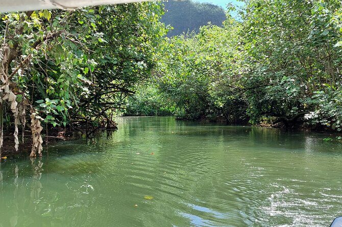 1/2 day "Treasures of Raiatea" by boat - ideal for cruise passengers - Introduction