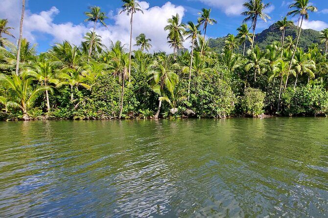 1/2 day "Treasures of Raiatea" by boat - ideal for cruise passengers - A Detailed Look at the Tour Itinerary