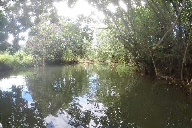 1/2 day "Treasures of Raiatea" by boat - ideal for cruise passengers - Authenticity and Traveler Feedback