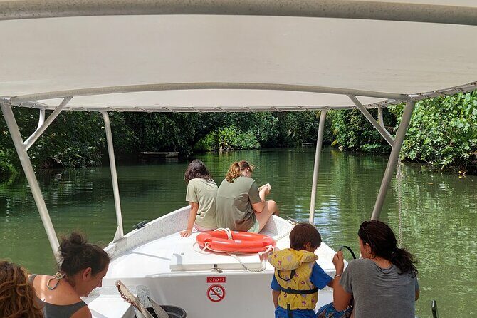 1/2 day "Treasures of Raiatea" by boat - ideal for cruise passengers - Final Thoughts: Who Will Love This Tour?